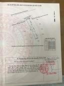 Thumb-BÁN ĐẤT ĐÔNG HÒA GẦN SIÊU THỊ GO DĨ AN, BÌNH DƯƠNG-4