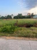 Thumb-1000m2 đất cây hằng năm thuộc xã Bình Tâm, TP. Tân An, Long An-1