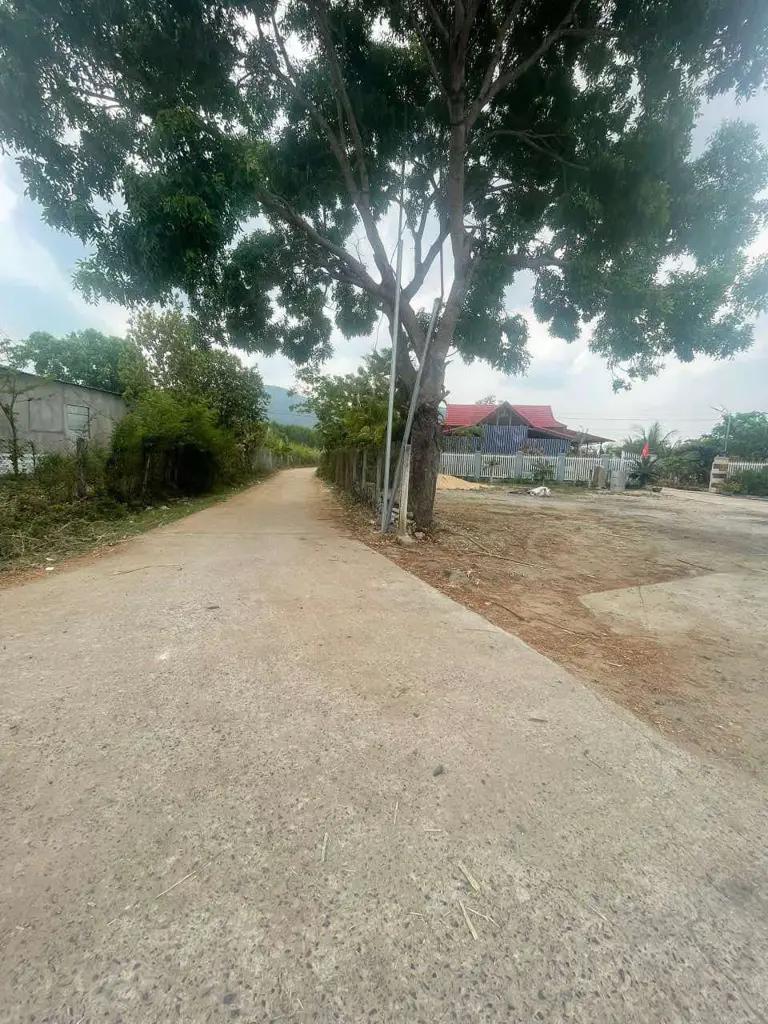 Main-Bán nhanh lô đất 500m2 xã Sơn Phước, Huyện Sơn Hòa, Tỉnh Phú Yên-2