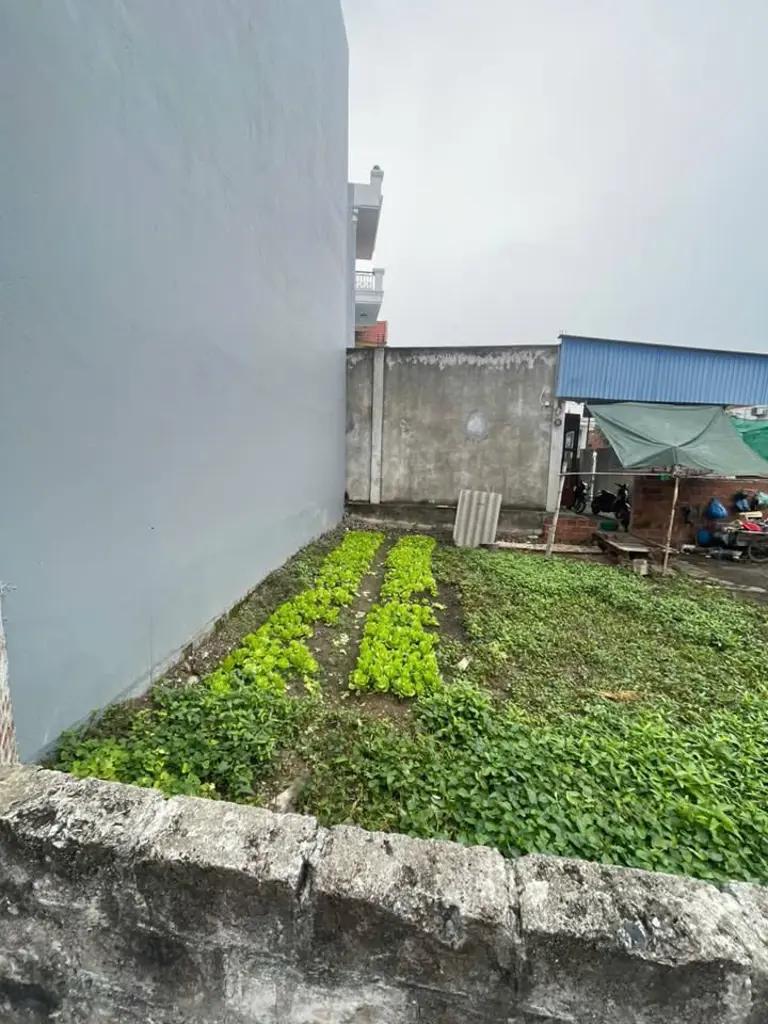 Main-Lô đất thôn Tây - Thủy Đường - Thủy Nguyên-1