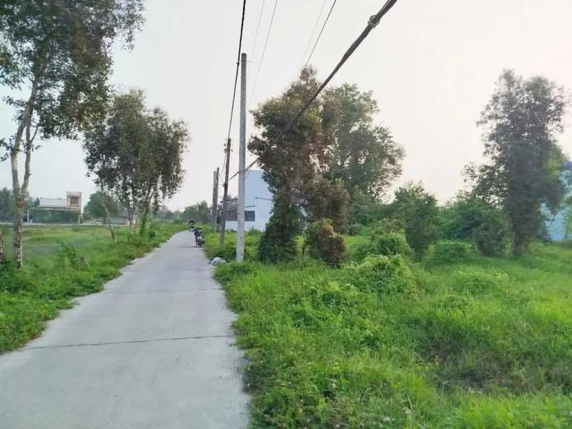 Bán dất thổ cư Phường 5, Tp. Tân An, Long An