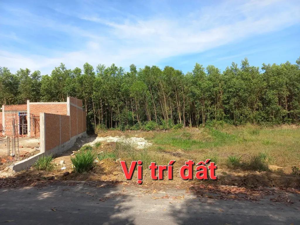Main-BÁN ĐẤT BÀ RỊA VŨNG TÀU - HUYỆN LONG ĐẤT - XÃ PHƯỚC LONG THỌ-1