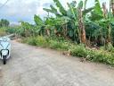 Thumb-1000m2 thuộc km 115, Phú Vinh, Định Quán, Đồng Nai-1
