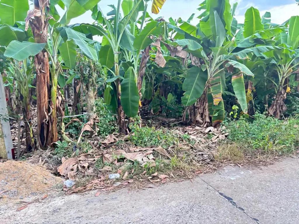 Main-1000m2 thuộc km 115, Phú Vinh, Định Quán, Đồng Nai-1