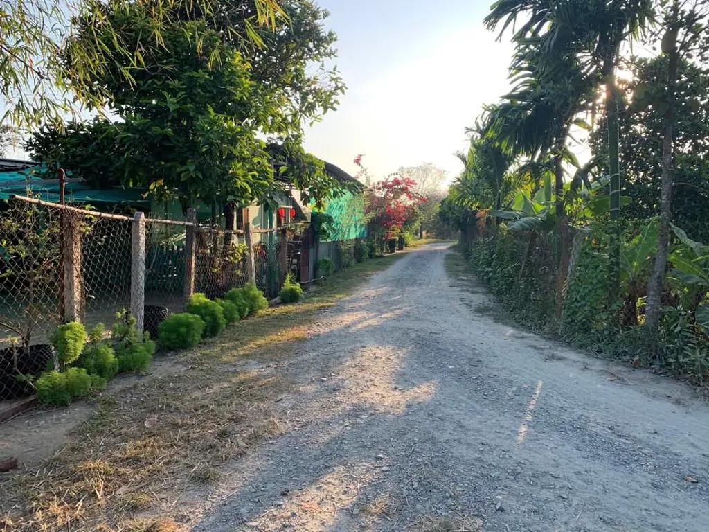 Main-BÁN LÔ ĐẤT ĐẸP HIỆP THẠNH, GÒ DẦU, TÂY NINH-3