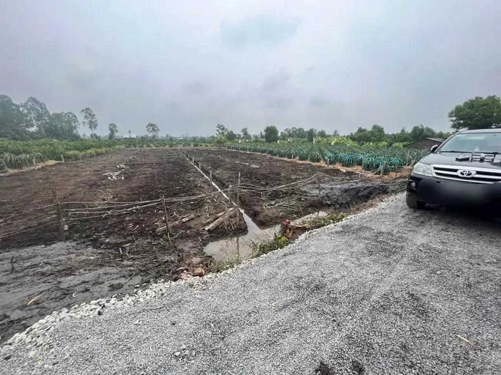 Main-Hàng đầu tư F0 có 2 lô 1000m2 đất vườn ở Ấp 4 - Bình Đức - Bến Lức - Long An-0