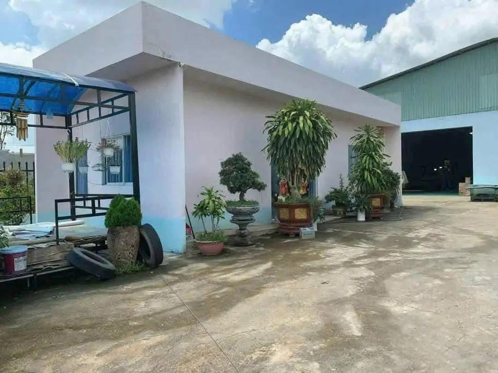 Main-Bán xưởng tại Tân hiệp Tân Uyên bình dương-1
