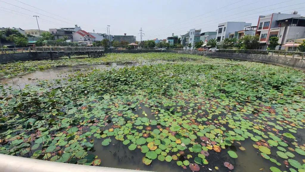 Main-Chốt ngay nhà đẹp trước hồ sen gần Điện Biên Phủ, Q.Thanh Khê, TP. Đà Nẵng-0