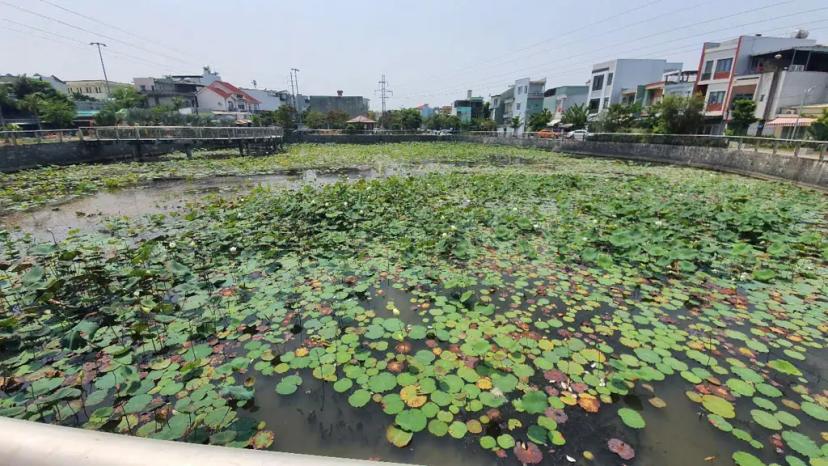Chốt ngay nhà đẹp trước hồ sen gần Điện Biên Phủ, Q.Thanh Khê, TP. Đà Nẵng