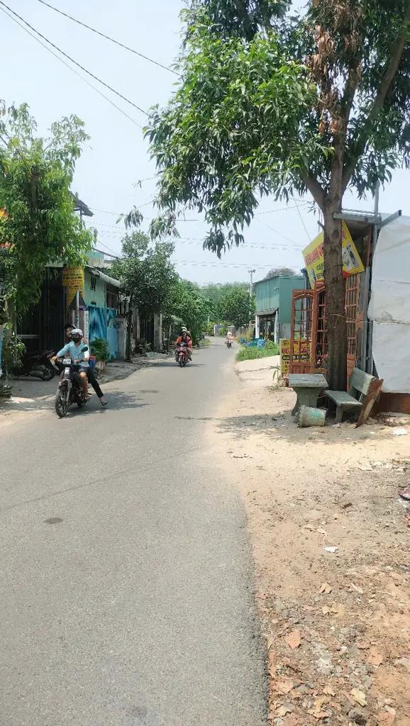 Main-Bán đất-2