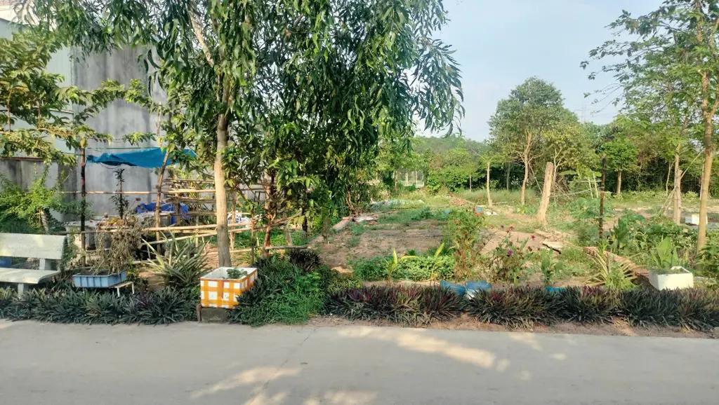 Main-Bán đất lh;0369655075-4