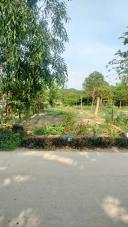 Thumb-Bán đất lh;0369655075-4