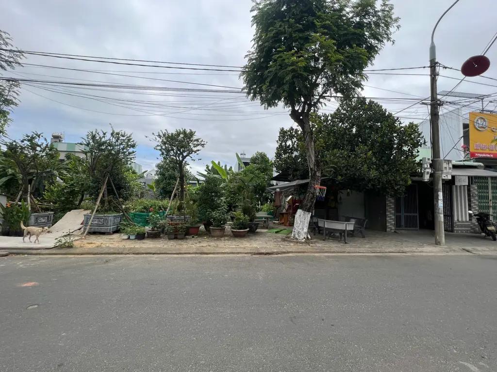 Main-Đất Sạch Đẹp Đường Nguyễn Văn Tỵ-1