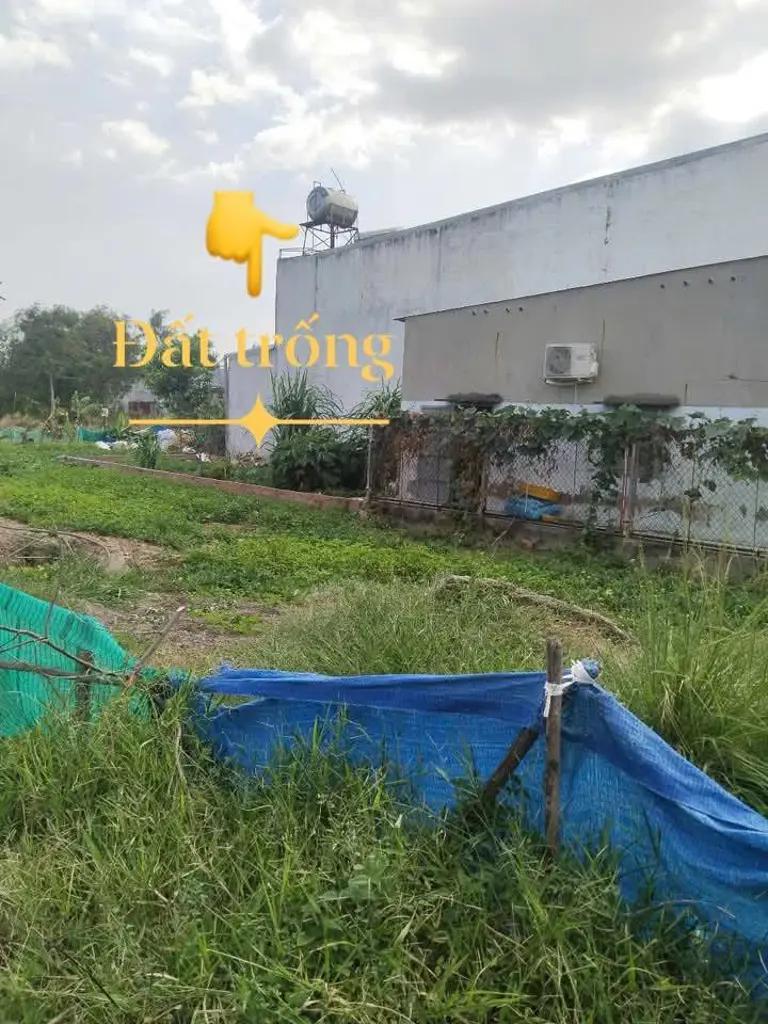 Main-Bán đất tặng căn nhà cấp 4 nhỏ ấp 4 Long Thọ, Nhơn Trạch-2
