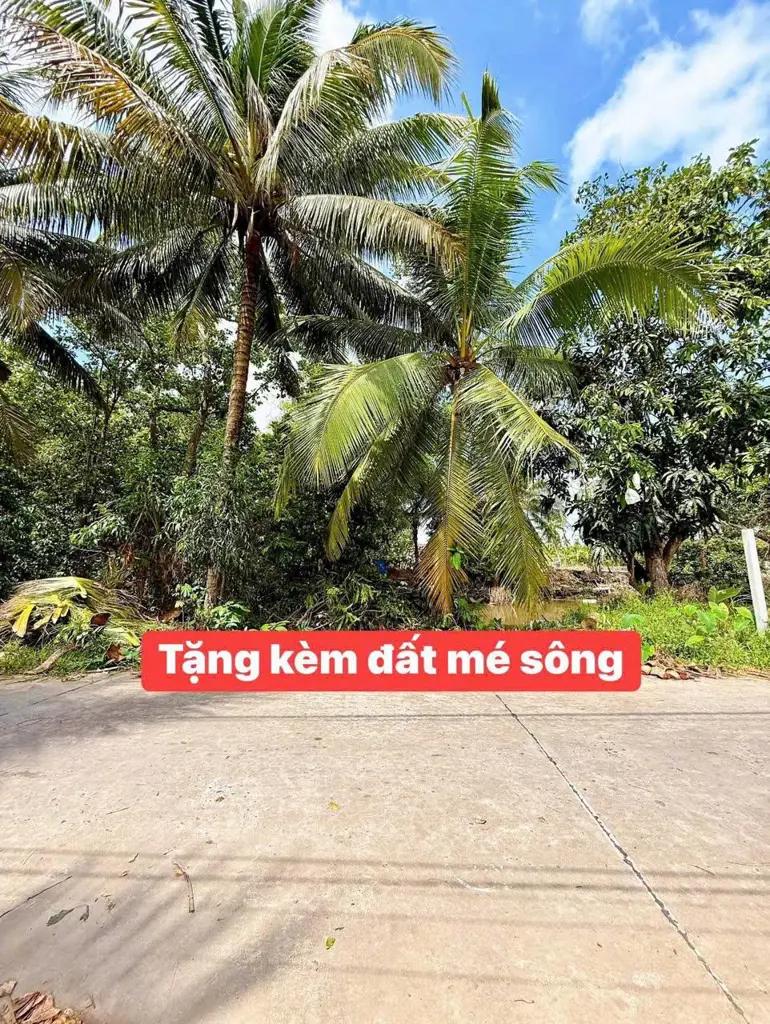 Main-NỀN BIỆT THỰ MẶT TIỀN RẠCH KHOÁN CHÂU - LONG HOÀ - BÌNH THUỶ - CẦN THƠ-3