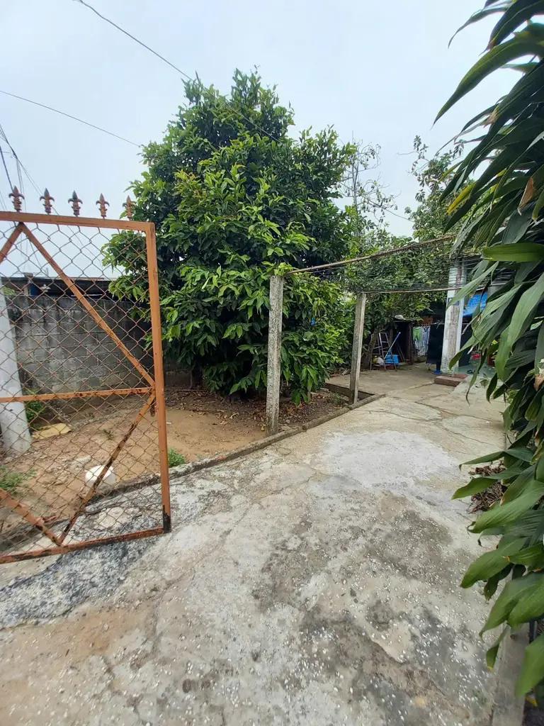 Main-Cấn bán đất Tân Thạnh Tây - Củ Chi-4