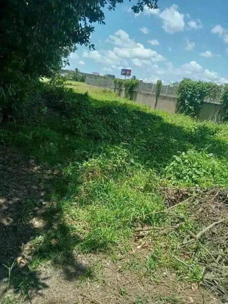 Main-500m2 đất cây lâu năm Tp Tân An, Long An-2
