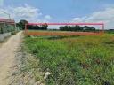 Thumb-500m2 đất cây lâu năm Tp Tân An, Long An-2