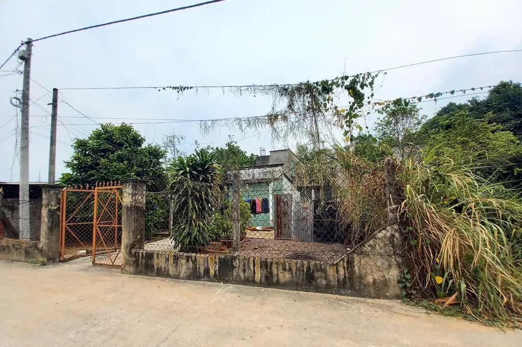 Main-Cấn bán đất Tân Thạnh Tây - Củ Chi-2