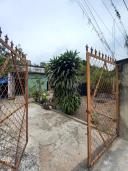 Thumb-Cấn bán đất Tân Thạnh Tây - Củ Chi-4