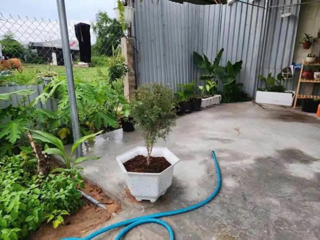 Main-Bán Nhà Vườn Gần ủy ban Phong Nẫm - Phan Thiết-6