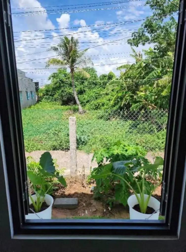 Bán Nhà Vườn Gần ủy ban Phong Nẫm - Phan Thiết