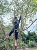 Thumb-Kẹt Tiền Trả Nợ - Cần Bán Gấp Lô Đất Vườn 2100m2 Dầu Giây, Đồng Nai-4