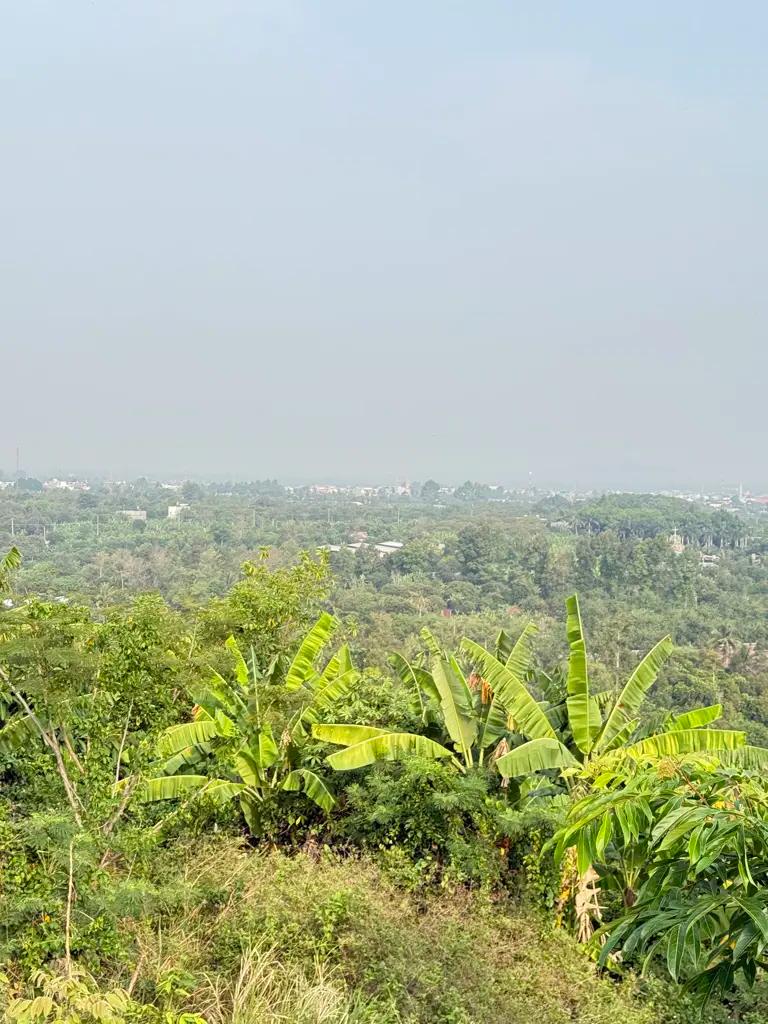 Mẹ Em Cần Bán Gấp Miếng Đất Để Trả Nợ Tại Thống Nhất Đồng Nai GIÁ 890TR