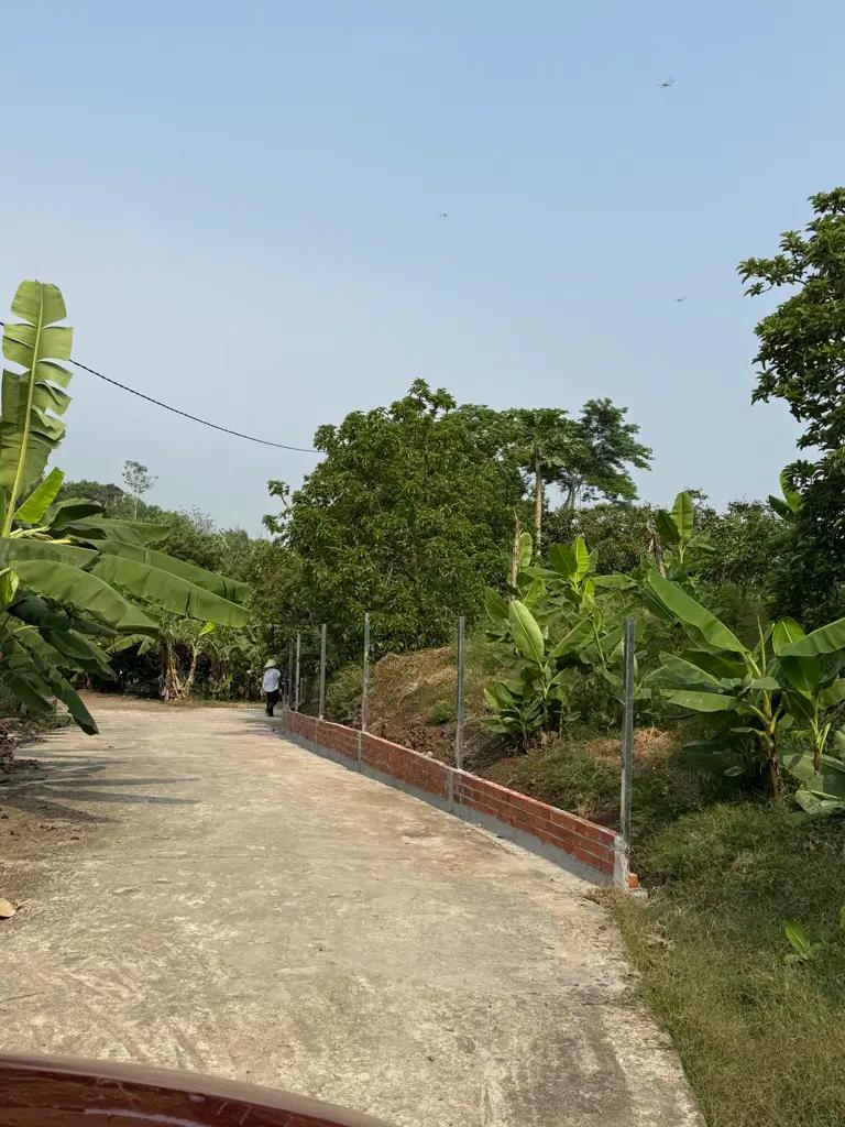 Main-BÁN ĐẤT VƯỜN SIÊU ĐẸP – HƠN 1.000m2 – CHỈ 800 TRIỆU!-3