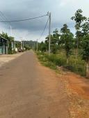 Thumb-💥375tr - Giá chỉ bằng một chiếc xe hơi – Sở hữu ngay 1.000m2 đất tại Đồng Nai!-5