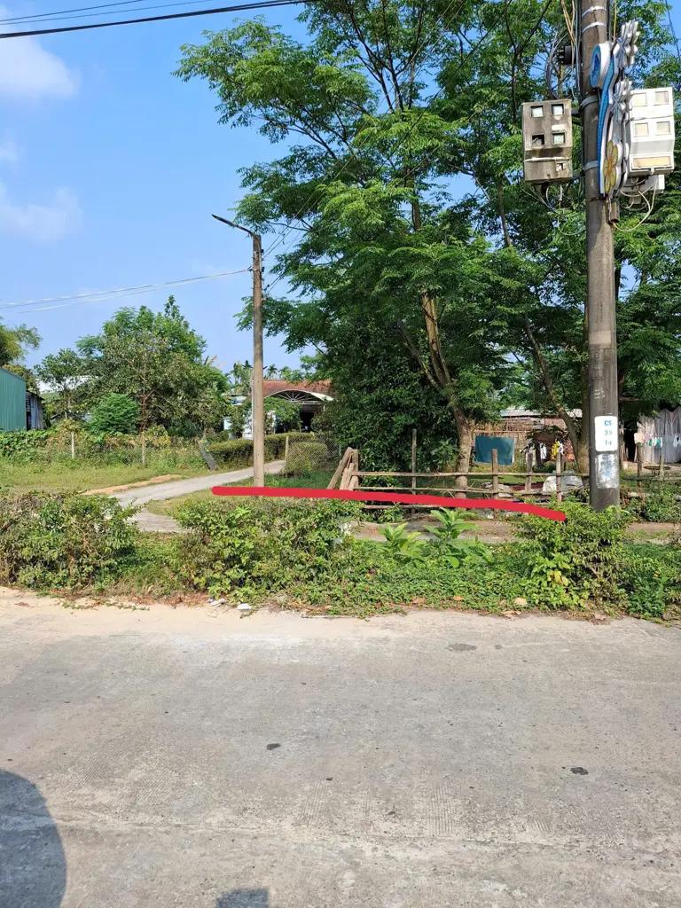 Main-Bán Đất, Vị trí: Thôn Tân Hạnh, xã Hòa Phước, huyện Hòa Vang, Đà Nẵng-1