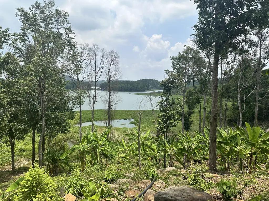 Main-CHÍNH CHỦ CẦN BÁN GẤP ĐẤT VIEW HỒ TRỊ AN – CỰC PHẨM NGHỈ DƯỠNG - ĐẦU TƯ GIÁ 1 TỶ/ 1000M2-2