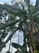 Thumb-CHÍNH CHỦ CẦN BÁN GẤP ĐẤT VIEW HỒ TRỊ AN – CỰC PHẨM NGHỈ DƯỠNG - ĐẦU TƯ GIÁ 1 TỶ/ 1000M2-5