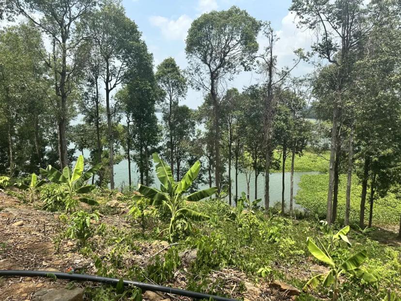 CHÍNH CHỦ CẦN BÁN GẤP ĐẤT VIEW HỒ TRỊ AN – CỰC PHẨM NGHỈ DƯỠNG - ĐẦU TƯ GIÁ 1 TỶ/ 1000M2