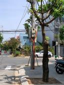 Thumb-LÔ GÓC KHUÊ MỸ ĐÔNG – VŨ MỘNG NGUYÊN-3