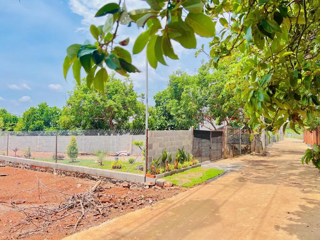 Main-KHÔNG CÓ LÔ THỨ 2! – CƠ HỘI ĐẦU TƯ – GIÁ CỰC TỐT-1