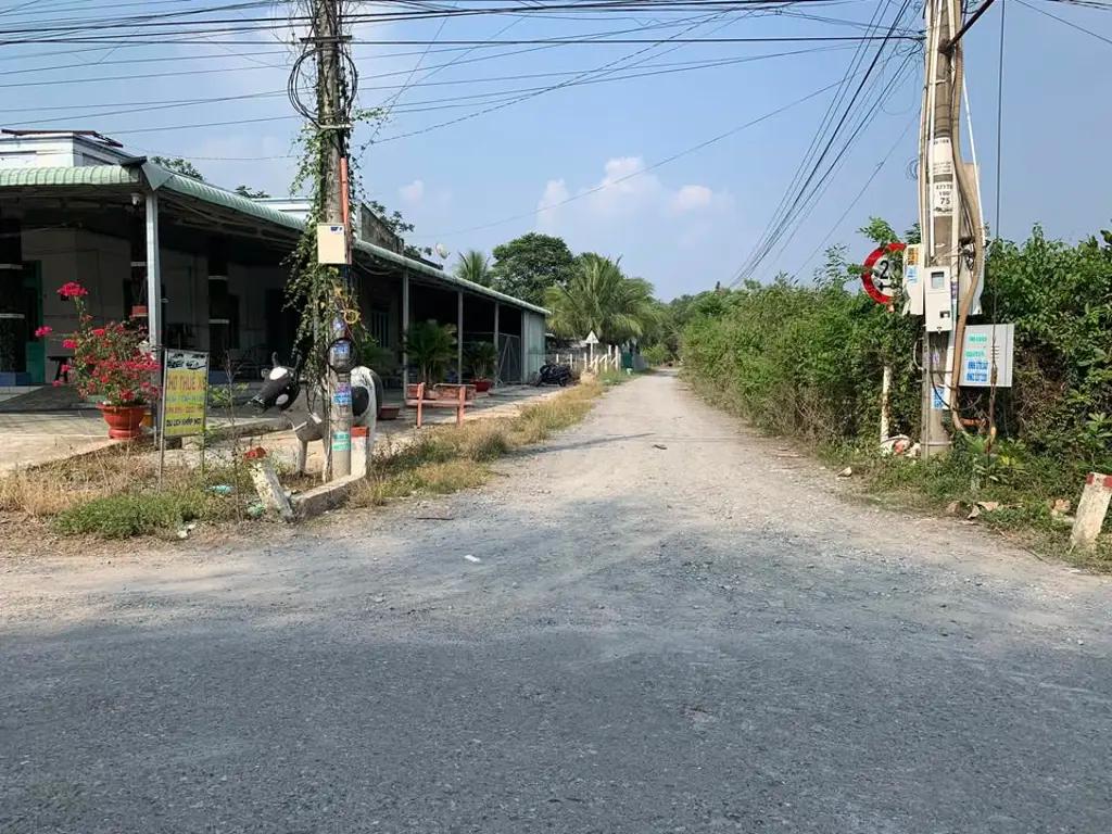 Main-Lô đất sát nhựa Tầm Lanh - Hiệp Thạnh 5,5x21 full thổ 420 triệu-3
