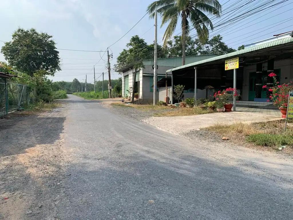 Main-Lô đất sát nhựa Tầm Lanh - Hiệp Thạnh 5,5x21 full thổ 420 triệu-2