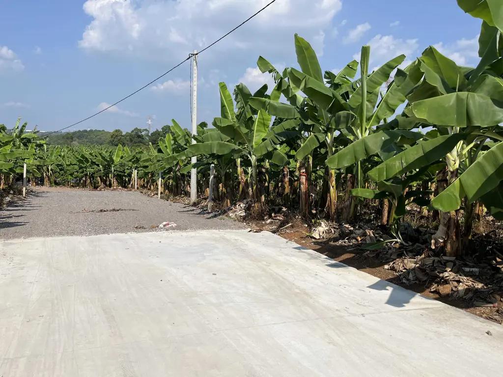 Main-🌿 SIÊU PHẨM VIEW HỒ TRỊ AN - ĐẦU TƯ SINH LỜI, NGHỈ DƯỠNG TUYỆT VỜI! 🌿-4