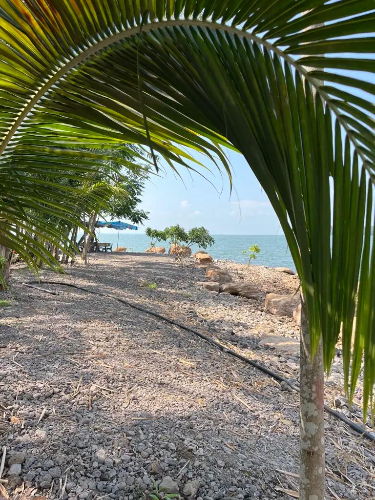 Main-🌿 SIÊU PHẨM VIEW HỒ TRỊ AN - ĐẦU TƯ SINH LỜI, NGHỈ DƯỠNG TUYỆT VỜI! 🌿-2