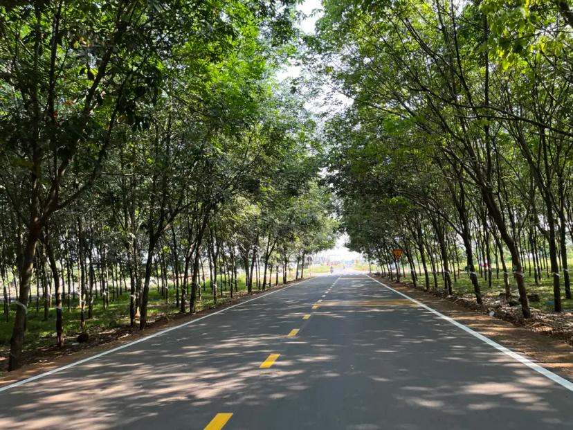 🌿 SIÊU PHẨM VIEW HỒ TRỊ AN - ĐẦU TƯ SINH LỜI, NGHỈ DƯỠNG TUYỆT VỜI! 🌿