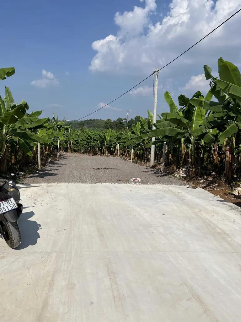 Main-🌿 SIÊU PHẨM VIEW HỒ TRỊ AN - ĐẦU TƯ SINH LỜI, NGHỈ DƯỠNG TUYỆT VỜI! 🌿-5