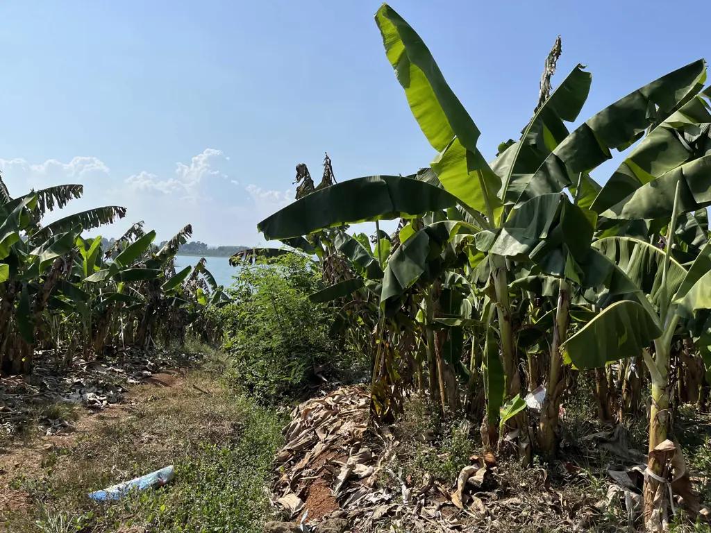 Main-🌿 SIÊU PHẨM VIEW HỒ TRỊ AN - ĐẦU TƯ SINH LỜI, NGHỈ DƯỠNG TUYỆT VỜI! 🌿-6
