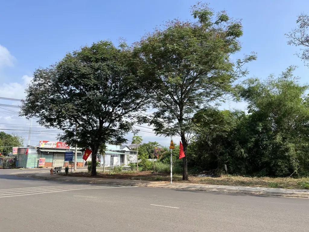 Main-🎯 CƠ HỘI ĐẦU TƯ SINH LỜI CAO – SỞ HỮU NGAY LÔ ĐẤT ĐẸP FULL THỔ CƯ TẠI TRUNG TÂM THỊ TRẤN DẦU GIÂY 🎯-0