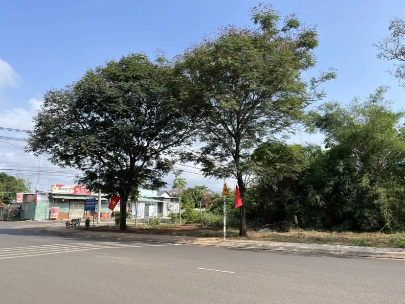 🎯 CƠ HỘI ĐẦU TƯ SINH LỜI CAO – SỞ HỮU NGAY LÔ ĐẤT ĐẸP FULL THỔ CƯ TẠI TRUNG TÂM THỊ TRẤN DẦU GIÂY 🎯