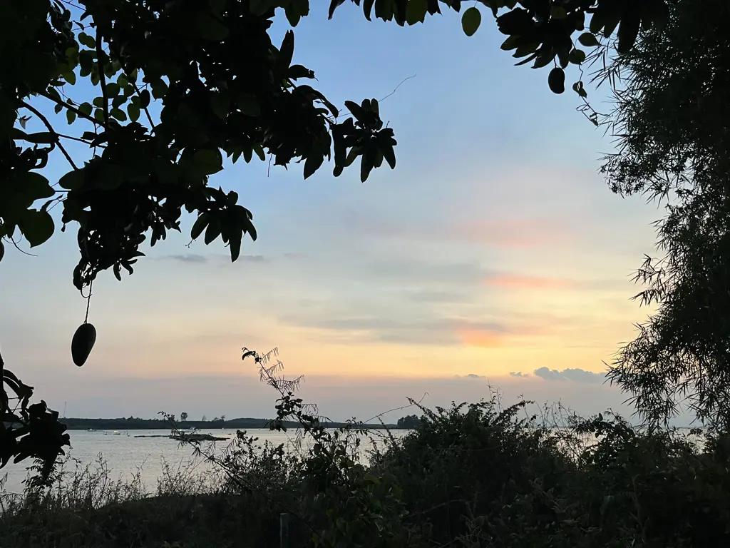 Main-🌳 BÁN VƯỜN XOÀI ĐẸP NHƯ MƠ – VIEW HỒ TRỊ AN CỰC PHẨM 🌊-7