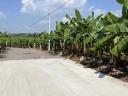 Thumb-BÁN GẤP LÔ ĐẤT ĐỊNH QUÁN ĐỒNG NAI 1 tỷ/1000m2 TUYỆT PHẨM NGHỈ DƯỠNG & KHAI THÁC DU LỊCH-6