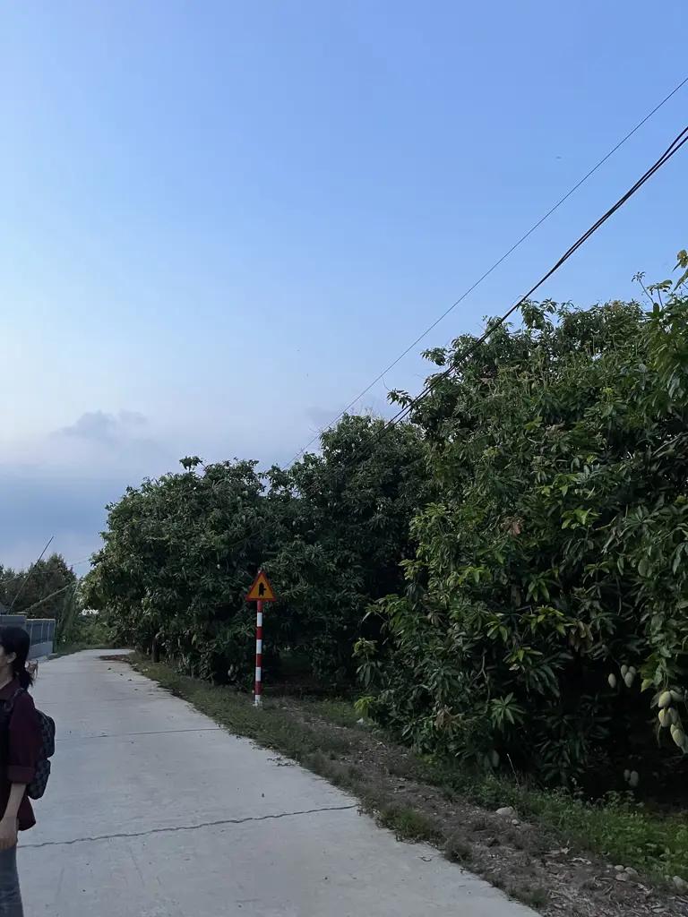 Main-🌳 BÁN VƯỜN XOÀI ĐẸP NHƯ MƠ – VIEW HỒ TRỊ AN CỰC PHẨM 🌊-1