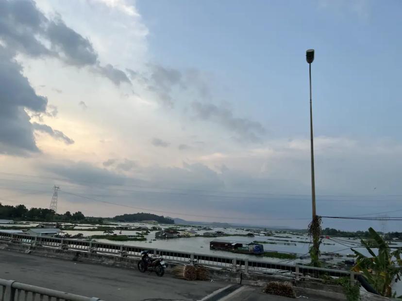 🌳 BÁN VƯỜN XOÀI ĐẸP NHƯ MƠ – VIEW HỒ TRỊ AN CỰC PHẨM 🌊
