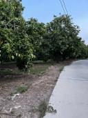 Thumb-🌳 BÁN VƯỜN XOÀI ĐẸP NHƯ MƠ – VIEW HỒ TRỊ AN CỰC PHẨM 🌊-5